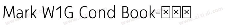 Mark W1G Cond Book字体转换